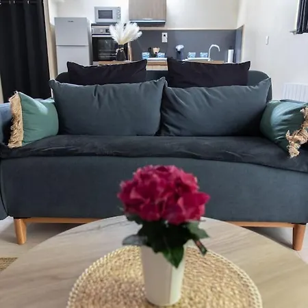 En Vieille Avec En Mezzanine *